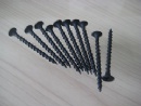 Drywall Screws